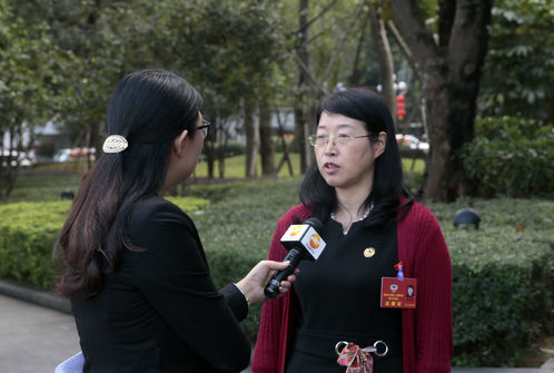 中山市政协委员、民进北中支部主任陈凤岚(右)接受中山广播电视台的采访。.jpg