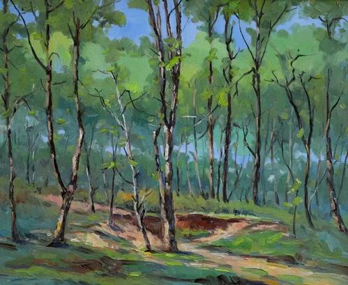 《阳光下的小树林》50×60cm.jpg
