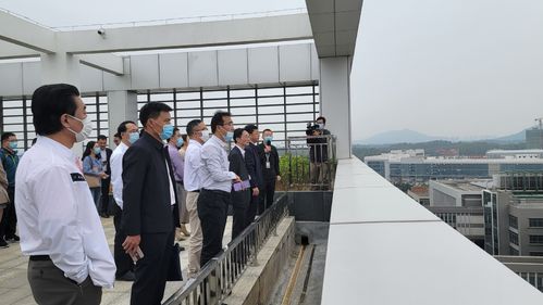 与会人员实地考察园内分布式光伏示范项目.jpg