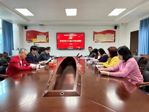 民进仙中支部学习中共十九届六中全会精神学习会现场.jpg