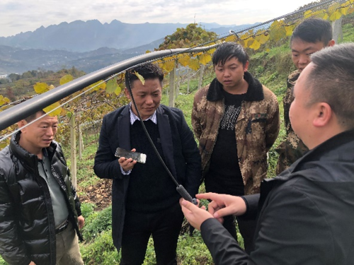 2021年11月30日，贵州六盘水水城区宏兴猕猴桃种植基地，孙建伟（左二）与六盘水农科所技术人员及基