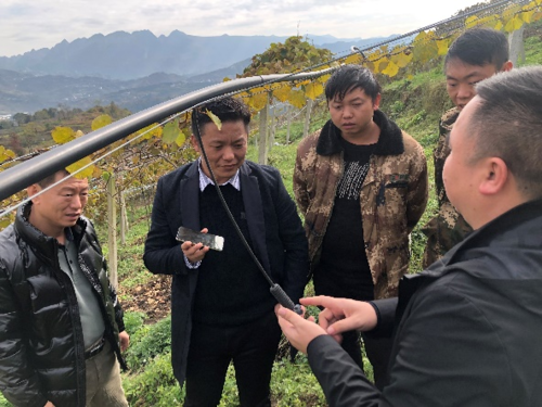 2021年11月30日,贵州六盘水水城区宏兴猕猴桃种植基地,孙建伟(左二)与六盘水农科所技术人员及基