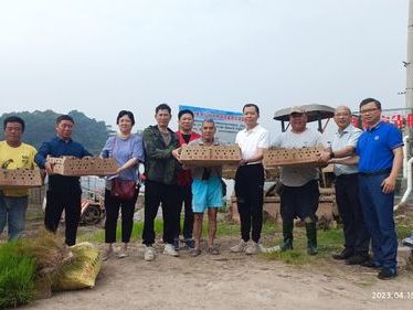 中山民进到南朗街道开展“鸭稻共育”支农服务活动