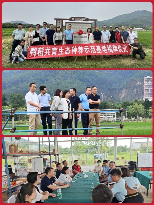 揭牌仪式及调研交流剪影.jpg