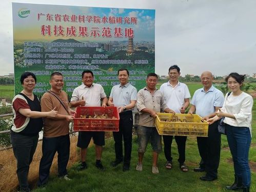 助力“百千万工程”