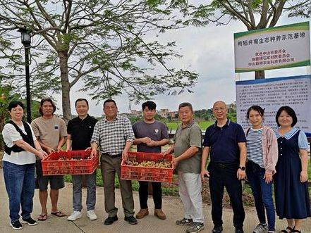 实干为民  绿色赋能 ¦ 中山民进再添两个“鸭稻共育”生态种养示范基地